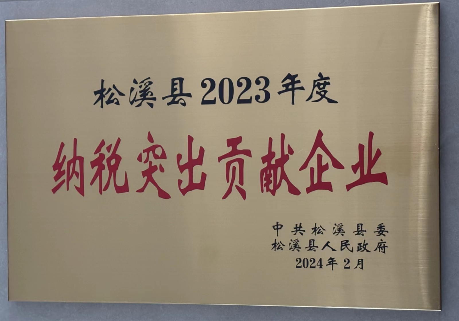 喜報！易順建工集團榮獲“松溪縣2023年度納稅突出貢獻企業”稱號